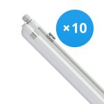Fordelspakke 10x Philips LED Vandtæt Lysrender CoreLine WT120C G2 42.9W 6000lm - 840 Kold Hvid | 150cm 