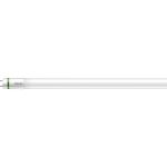 Philips MASTER LED Tube T8 (EM/Mains) Ultra Efficiency 17.6W 3700lm - 865 Dagslys | 150cm - Erstatter 58W