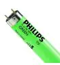 Philips MASTER TL-D 18W - Grøn | 60cm