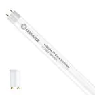 Ledvance LED Lysrør T8 Value (EM/Mains) Standard Output 11.6W 1400lm - 865 dagslys | 105cm - erstatter 38W